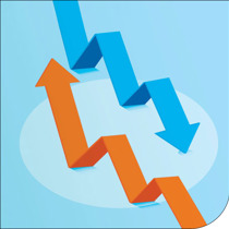 Viepro 1225 Fractures Thumb