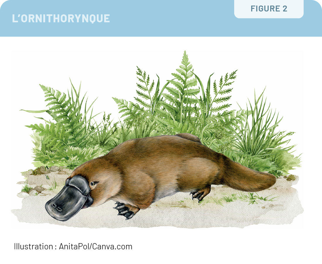 Patientpartenaire 0326 Fig2